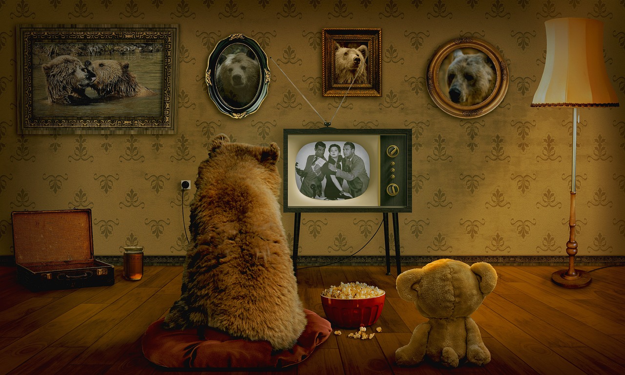 bear, teddy, watch tv-3145874.jpg